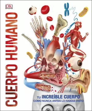 CUERPO HUMANO CUERPO HUMANO