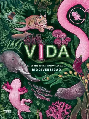 VIDA - LAS ASOMBROSAS MARAVILLAS DE LA BIODIVERSID VIDA - LAS ASOMBROSAS MARAVILLAS DE LA BIODIVERSID