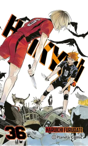 HAIKYU!! Nº 36/45