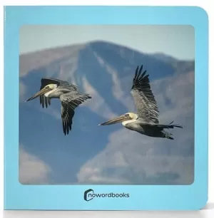 AVES AVES