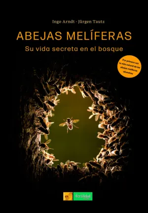 ABEJAS MELÍFERAS ABEJAS MELÍFERAS