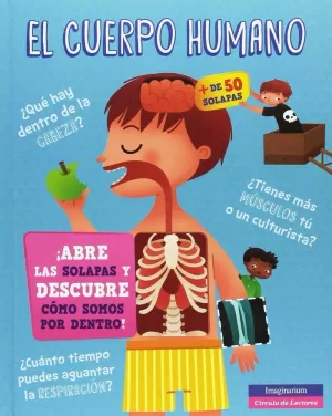 EL CUERPO HUMANO EL CUERPO HUMANO
