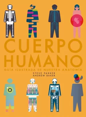 CUERPO HUMANO CUERPO HUMANO
