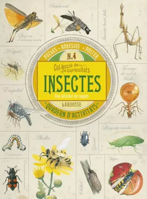 COL.LECCIÓ DE CURIOSITATS. INSECTES COL.LECCIÓ DE CURIOSITATS. INSECTES