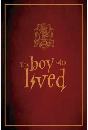 HARRY POTTER - GRYFFINDOR (NOTEBOOK) HARRY POTTER - GRYFFINDOR (NOTEBOOK)