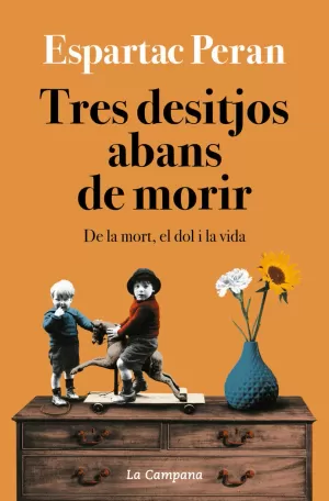 TRES DESITJOS ABANS DE MORIR TRES DESITJOS ABANS DE MORIR