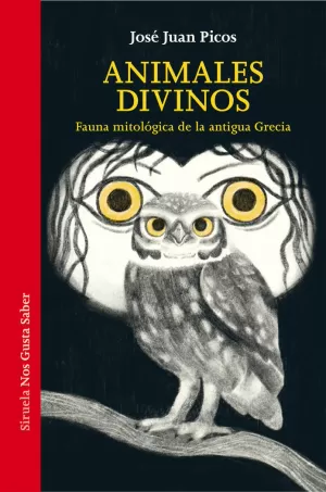 ANIMALES DIVINOS ANIMALES DIVINOS