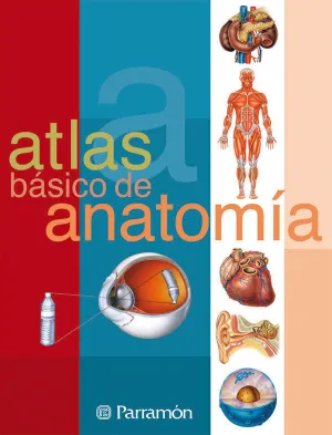 ATLAS BASICO DE ANATOMIA ATLAS BASICO DE ANATOMIA