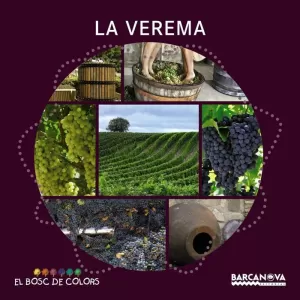 LA VEREMA LA VEREMA