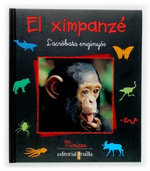 C-MZ.EL XIMPANZE C-MZ.EL XIMPANZE