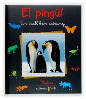 C-MZ.EL PINGUI C-MZ.EL PINGUI