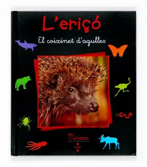 C-MZ.L'ERIÇO C-MZ.L'ERIÇO