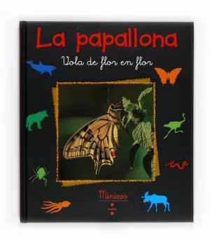 C-MZ.LA PAPALLONA C-MZ.LA PAPALLONA