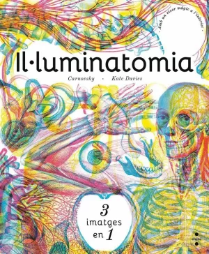 C-IL ·LUMINATOMIA C-IL ·LUMINATOMIA