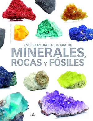 ENCICLOPEDIA ILUSTRADA DE MINERALES, ROCAS Y FÓSILES ENCICLOPEDIA ILUSTRADA DE MINERALES, ROCAS Y FÓSILES
