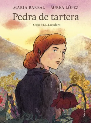 PEDRA DE TARTERA (NOVEL·LA GRAFICA)