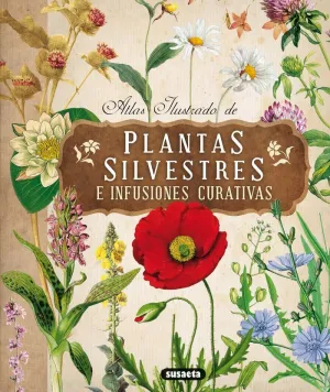 ATLAS ILUSTRADO DE PLANTAS SILVESTRES E INFUSIONES ATLAS ILUSTRADO DE PLANTAS SILVESTRES E INFUSIONES