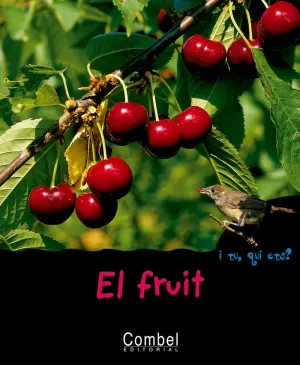 EL FRUIT EL FRUIT