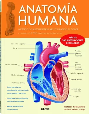 ANATOMIA HUMANA ANATOMIA HUMANA