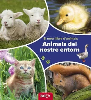 ANIMALS DEL NOSTRE ENTORN - EL MEU LLIBRE D'ANIMALS ANIMALS DEL NOSTRE ENTORN - EL MEU LLIBRE D'ANIMALS