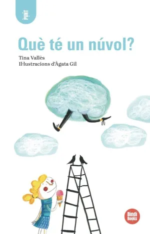QUÈ TÉ UN NÚVOL?
